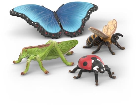 Insecten ontdekkingsset