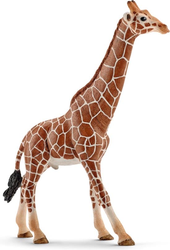 schleich WILD LIFE - Mannetjesgiraf - Speelfiguur - Kinderspeelgoed voor Jongens en Meisjes - 3 tot 8 jaar - 14749