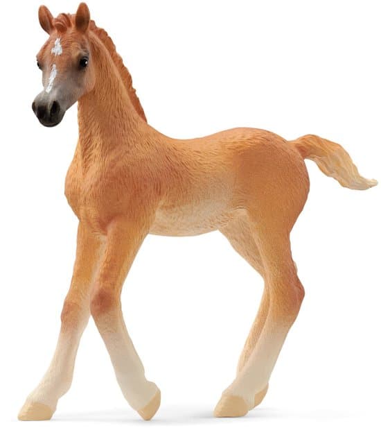 schleich HORSE CLUB - Arabisch veulen - 13984