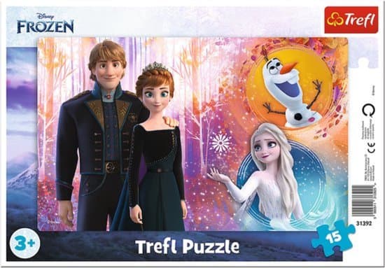 Frozen framepuzzel
