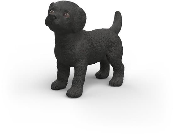 Schleich zwarte labrador retriever pup speelgoed hondje dier.