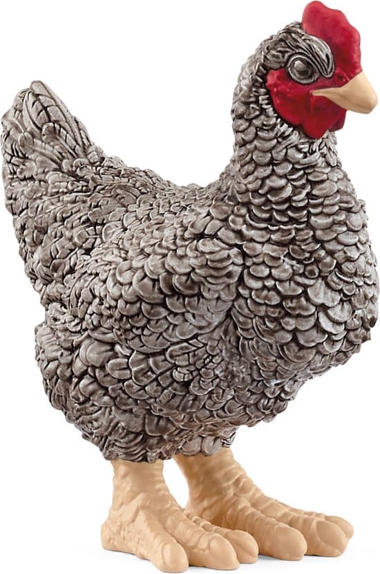 schleich FARM WORLD - Plymouth Rock Kip - 13997